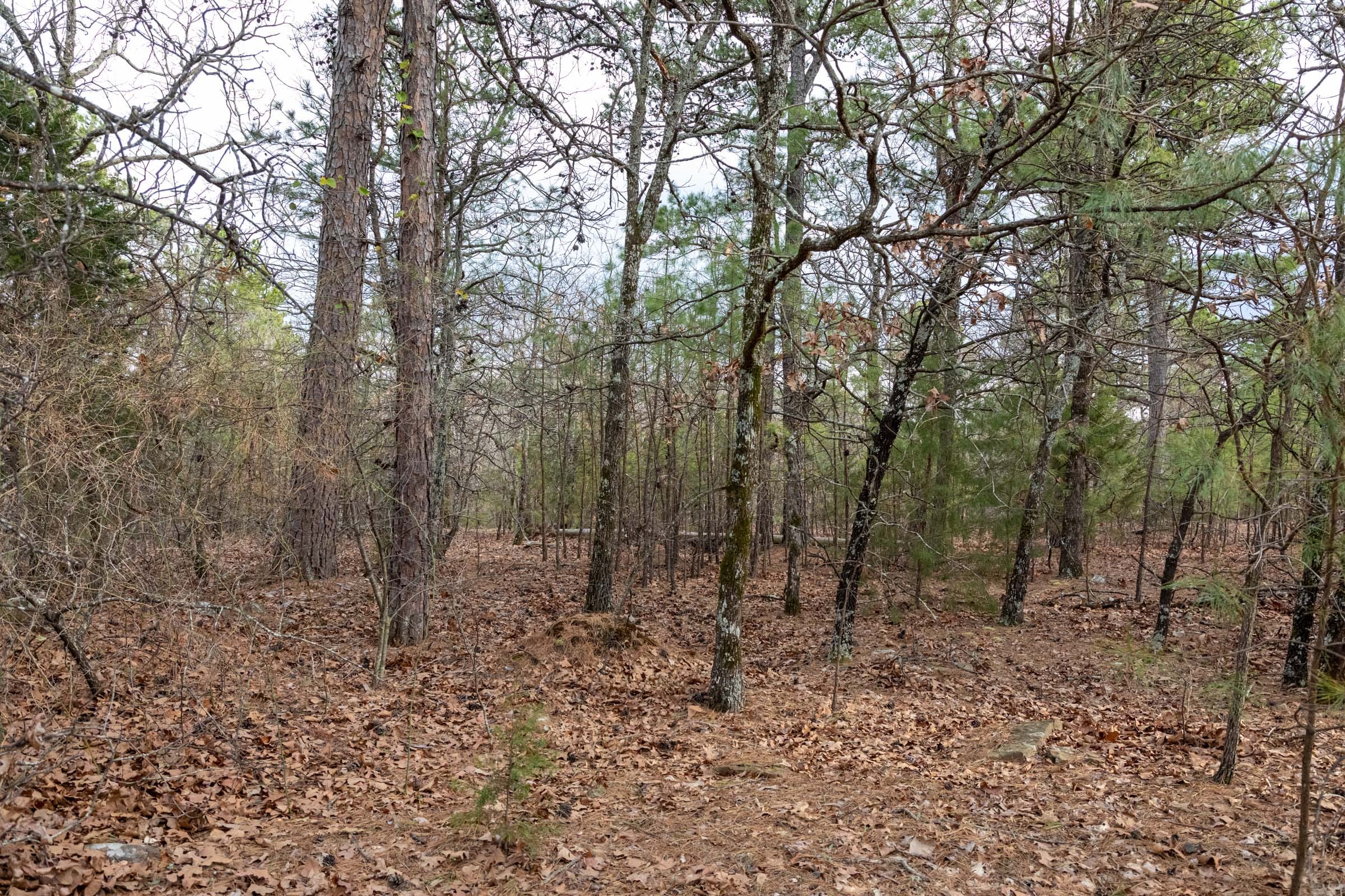 Stone Bridge Phase III Tract 182 photo 10