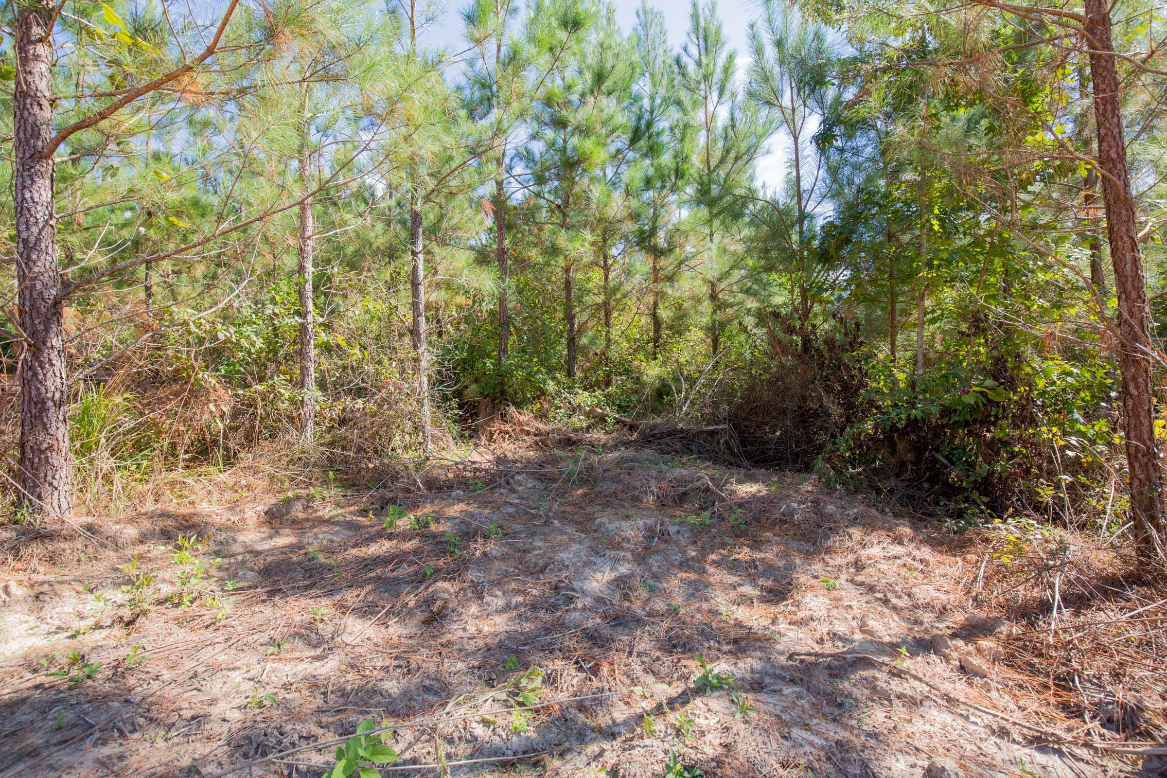 Sky Ranch Tract 4 photo 7