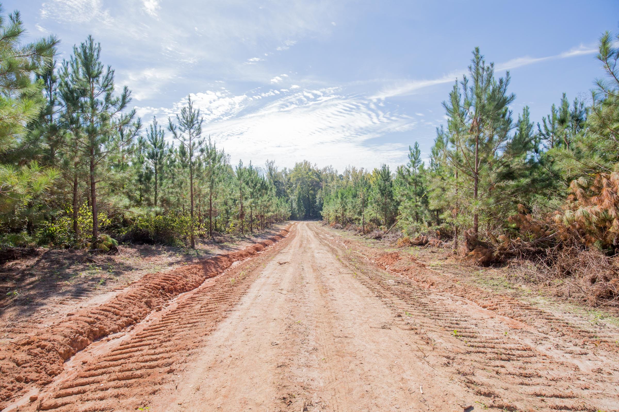 Sky Ranch Tract 4 photo 8
