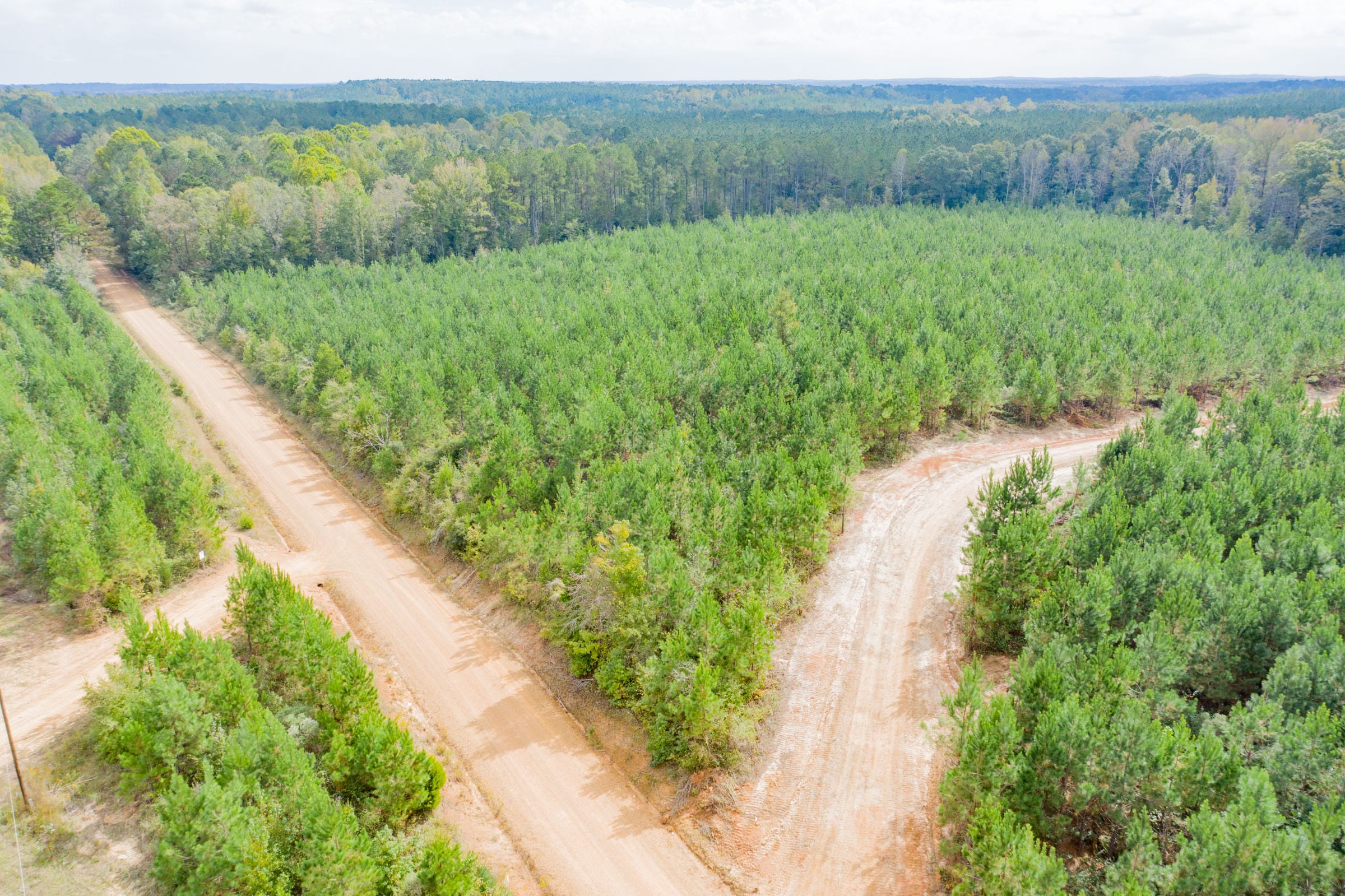 Sky Ranch Tract 4 photo 3