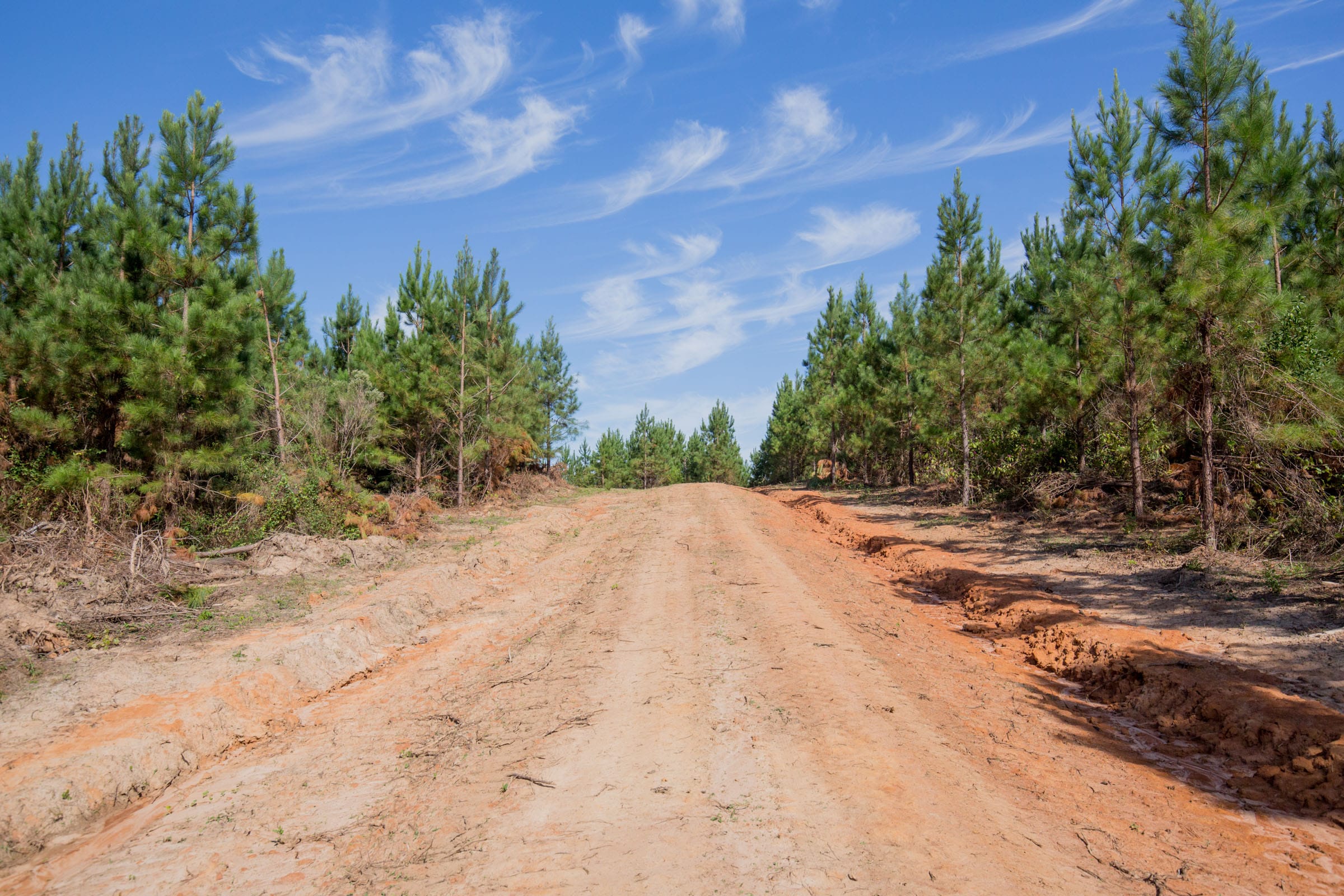 Sky Ranch Tract 4 photo 5