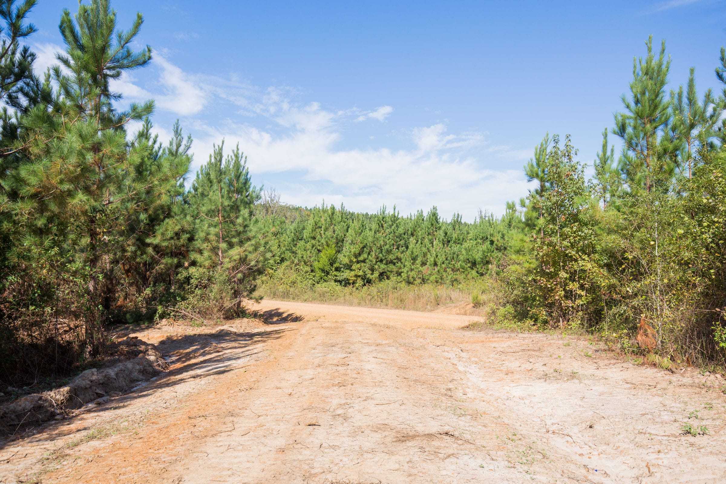 Sky Ranch Tract 4 photo 13