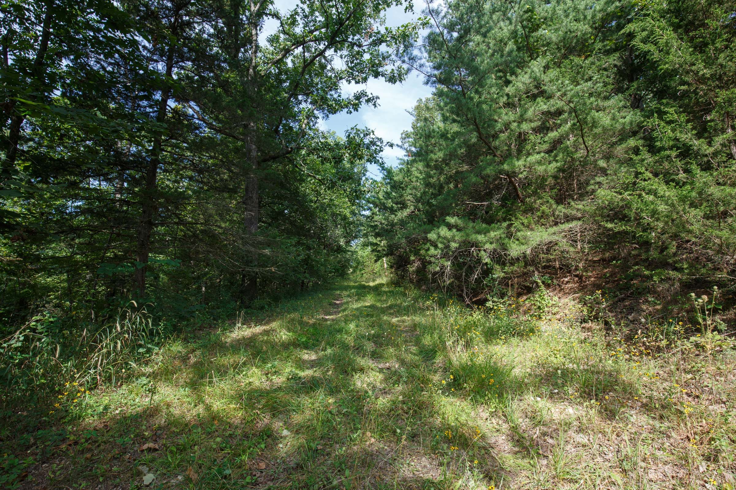 Spring Lake Plat 6 Tract 150 photo 1