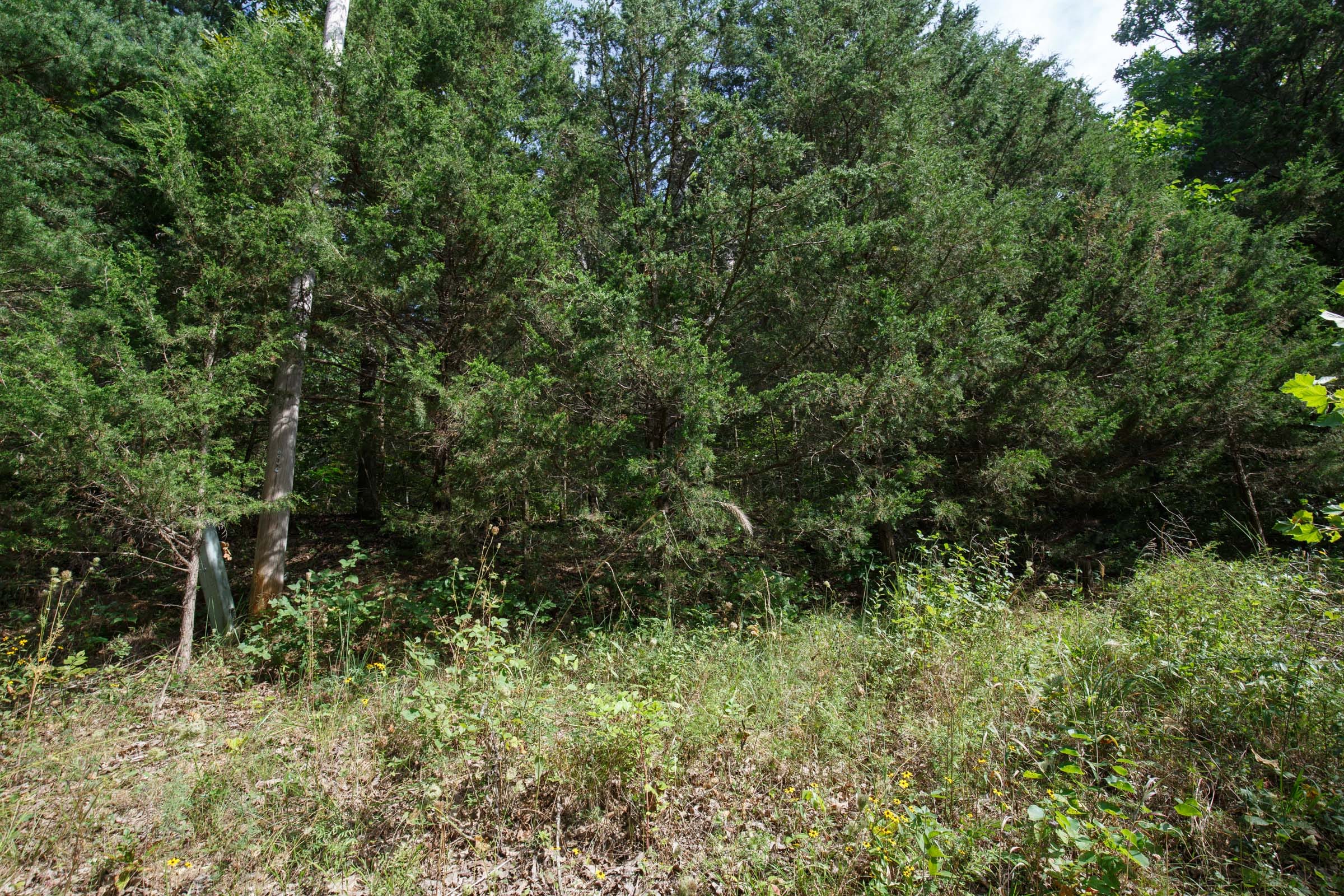 Spring Lake Plat 6 Tract 150 photo 2