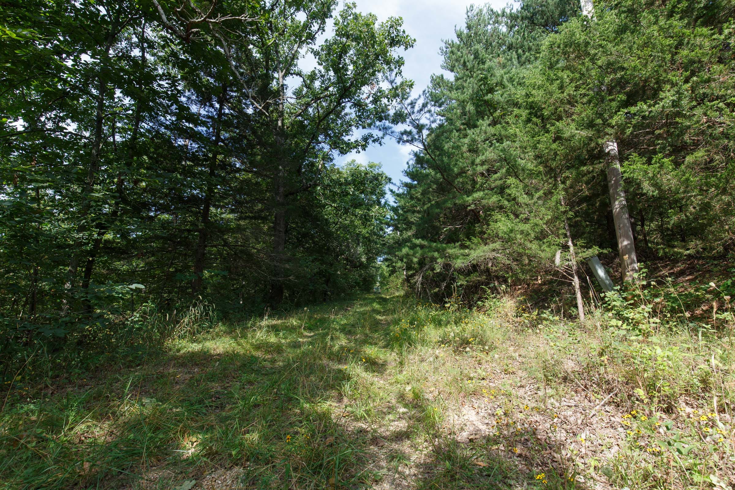 Spring Lake Plat 6 Tract 150 photo 3