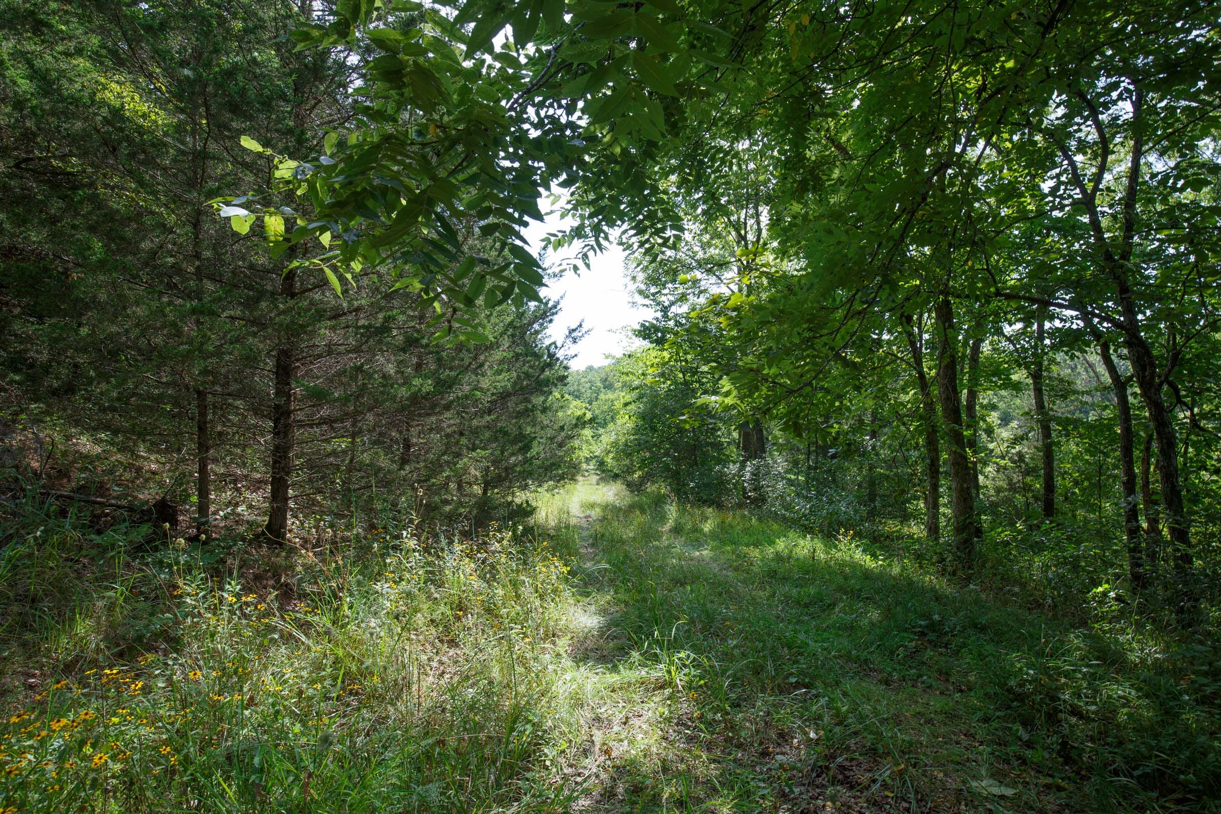 Spring Lake Plat 6 Tract 150 photo 4