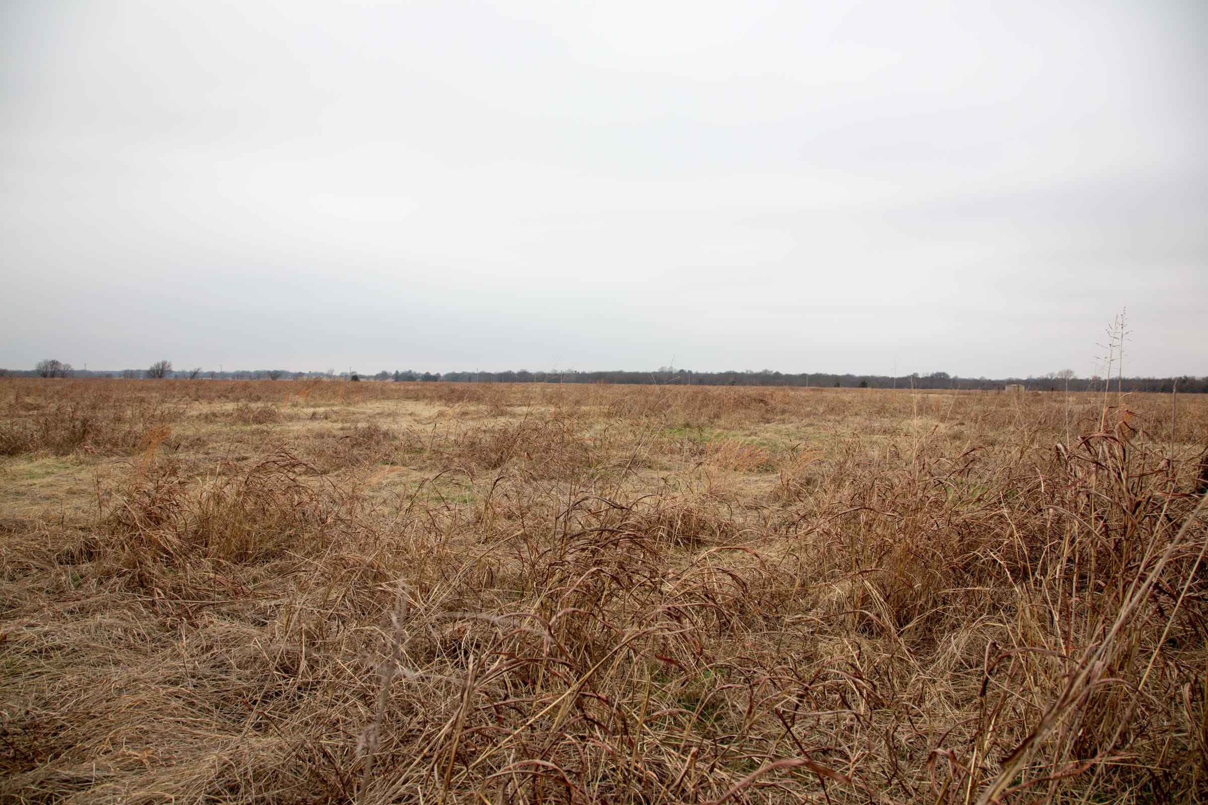 Canadian Plains Tract 43 photo 2