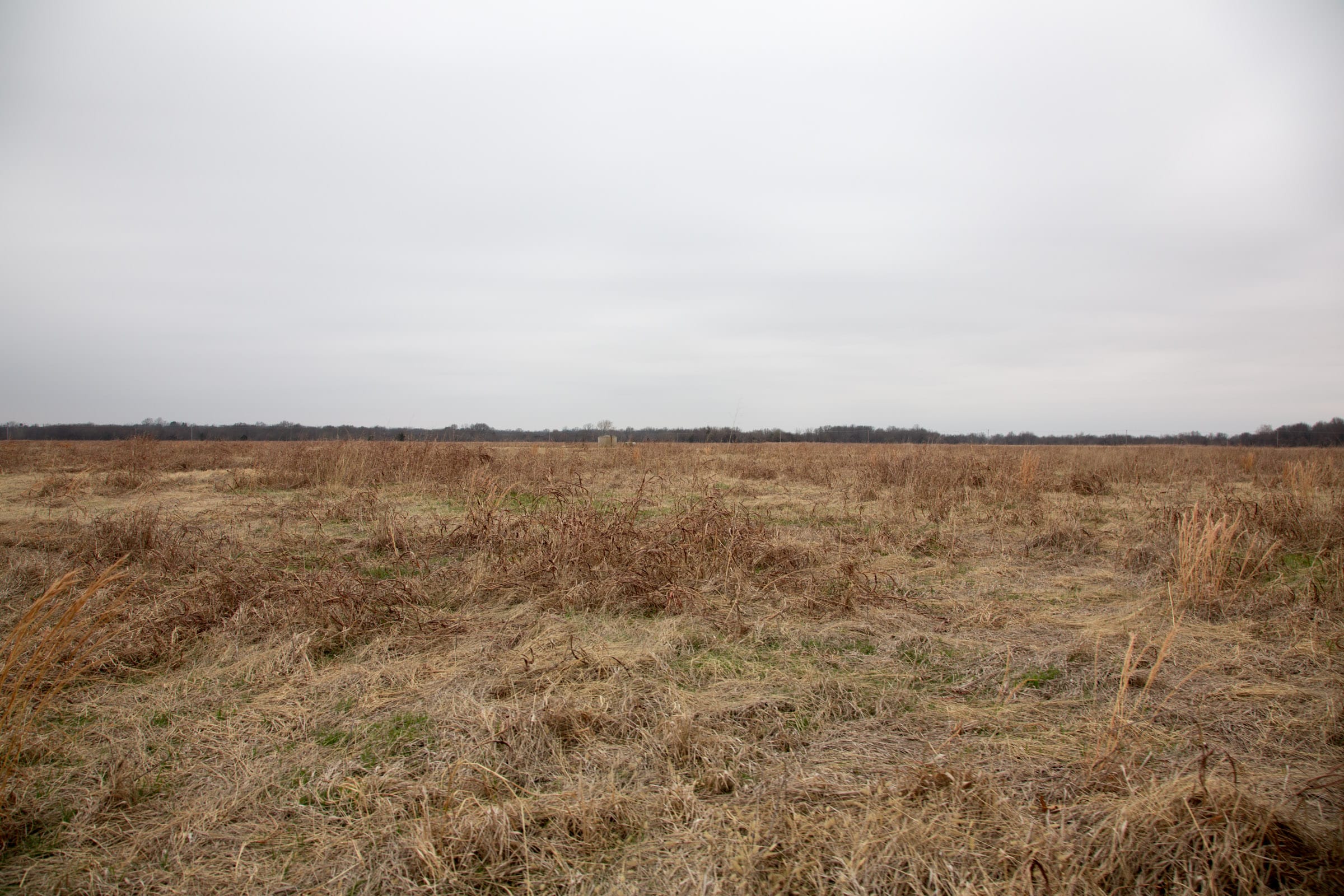 Canadian Plains Tract 43 photo 3