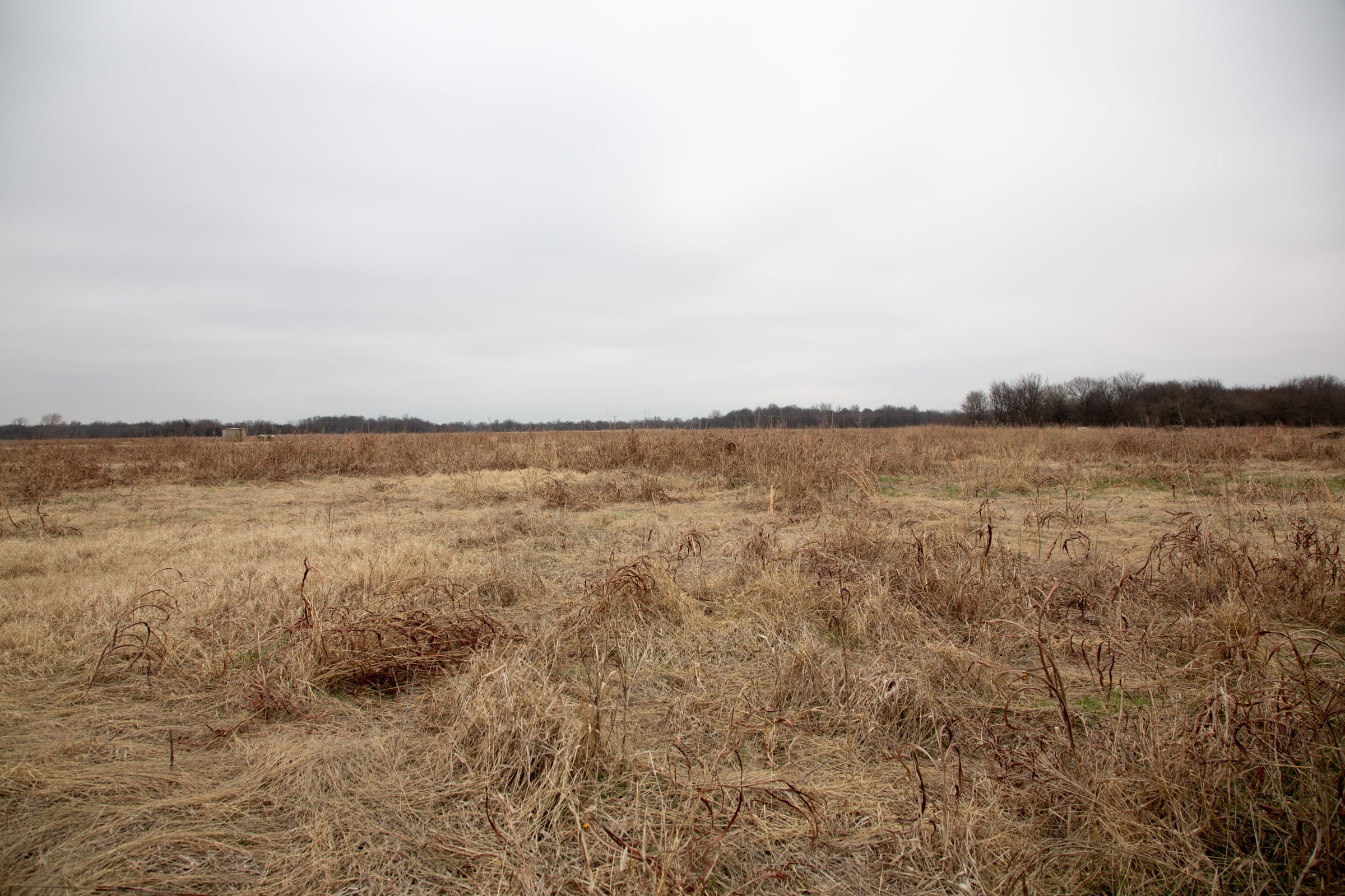 Canadian Plains Tract 43 photo 4