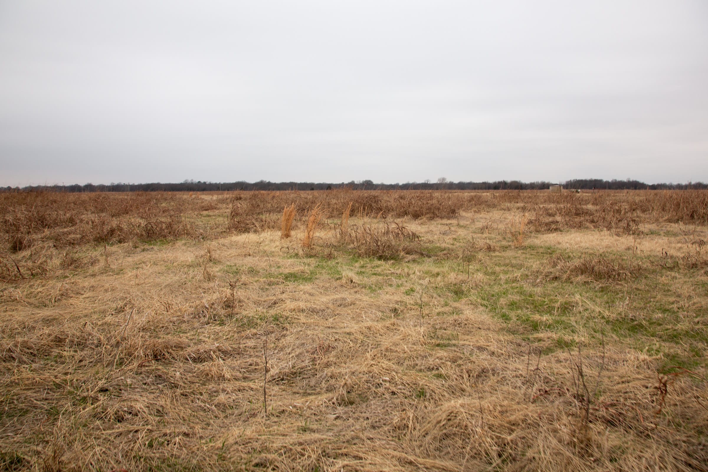 Canadian Plains Tract 43 photo 5