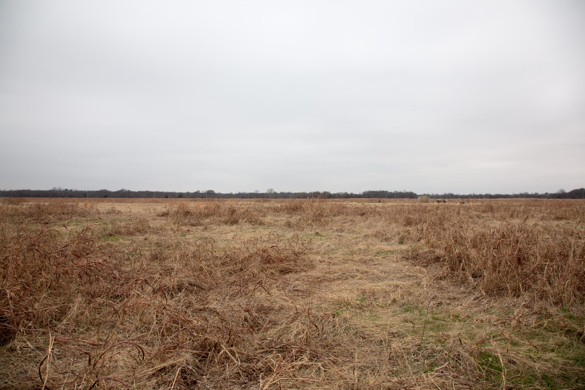 Canadian Plains Tract 43 photo 6