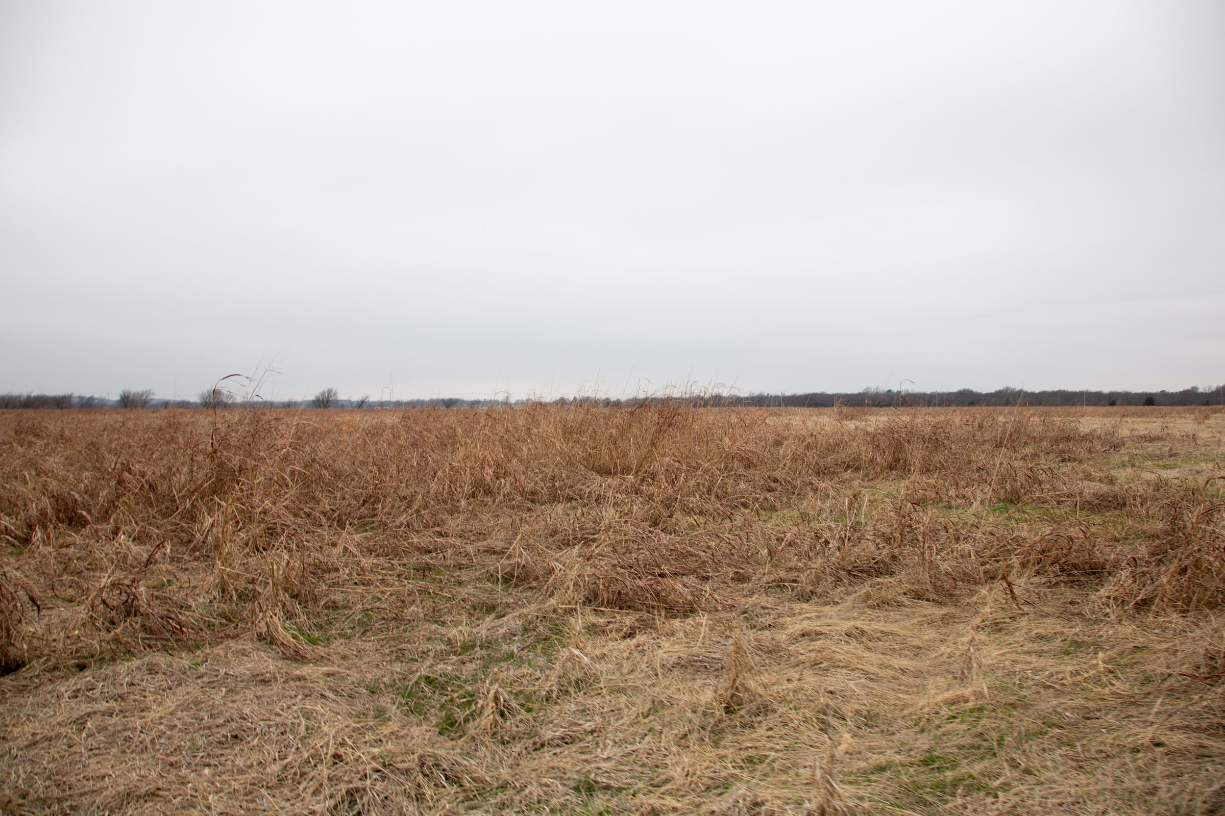Canadian Plains Tract 43 photo 7