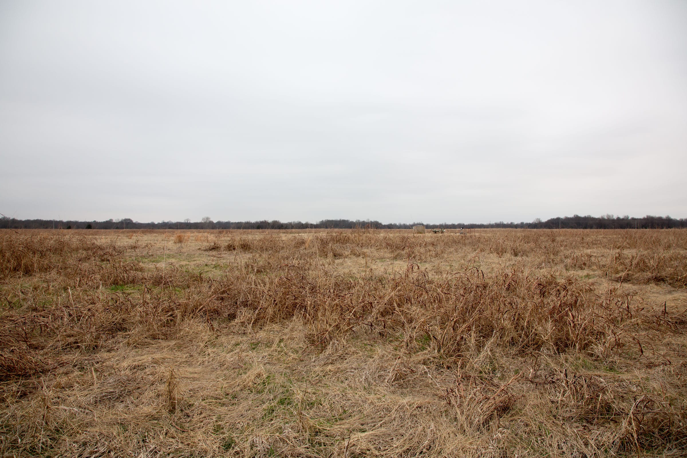 Canadian Plains Tract 43 photo 8