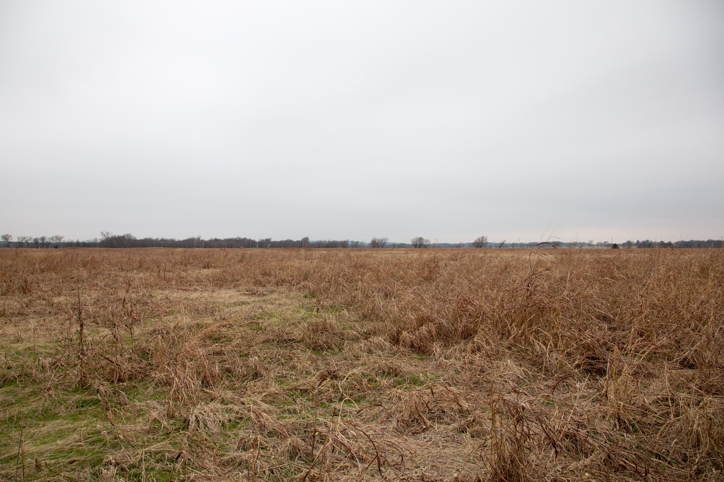 Canadian Plains Tract 43 photo 9