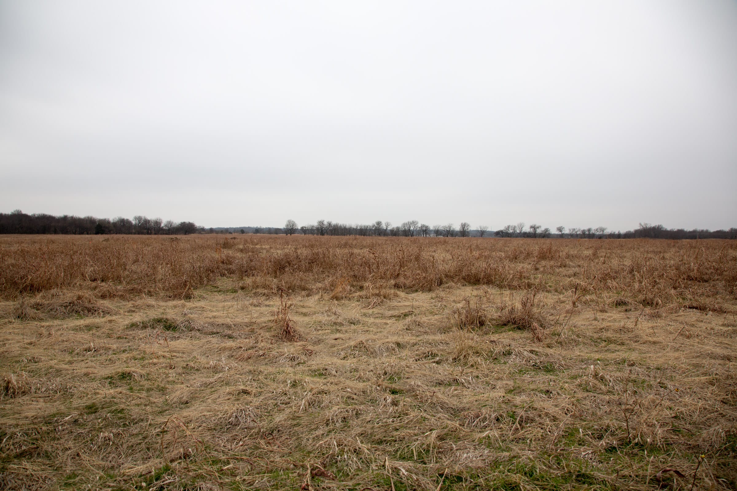 Canadian Plains Tract 43 photo 10