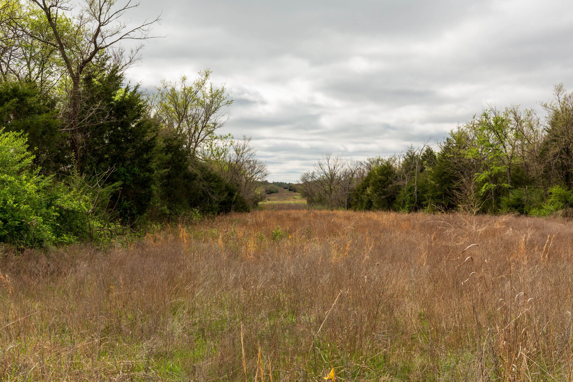 Moonrise Meadows Tract 26 photo 4