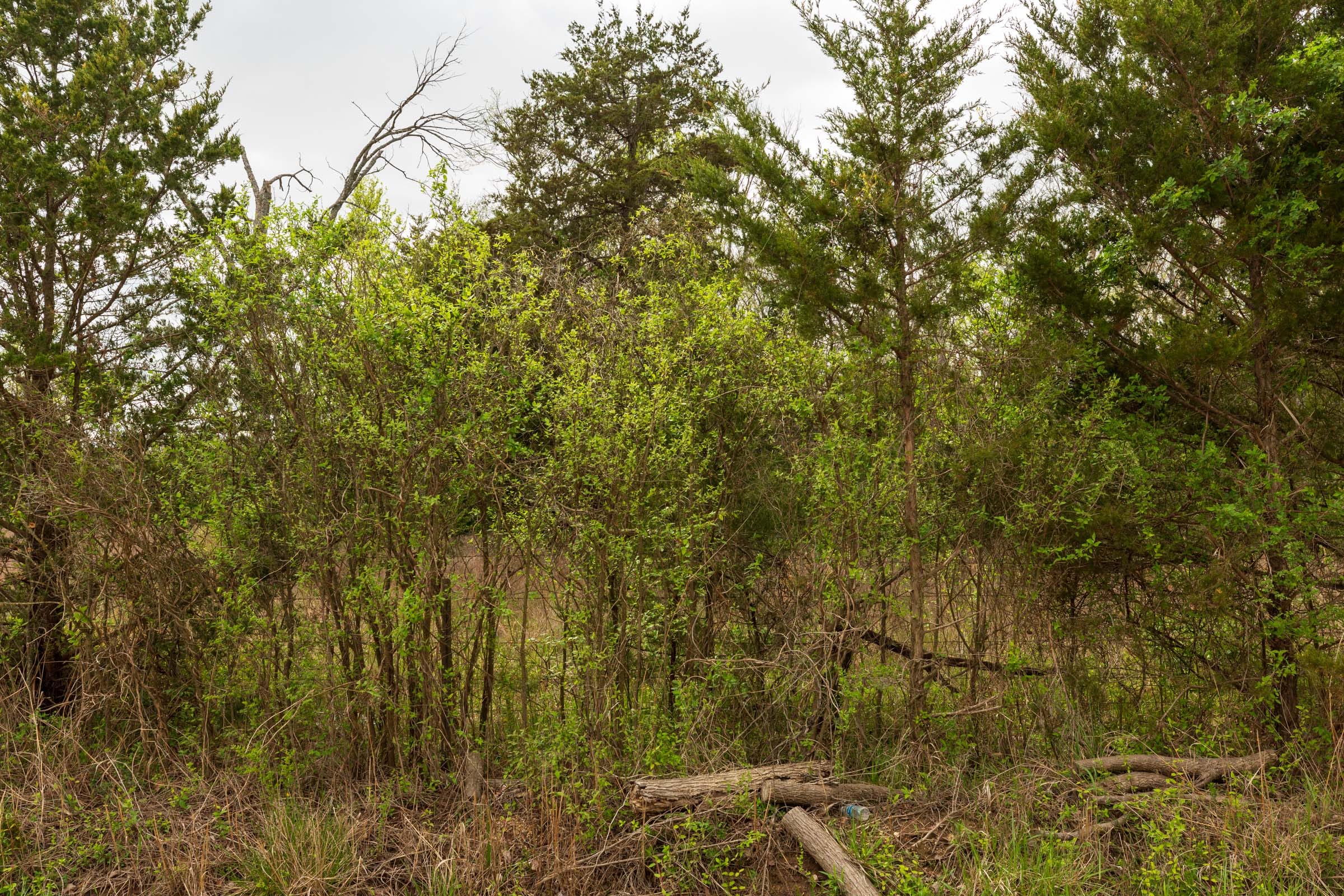 Moonrise Meadows Tract 26 photo 8