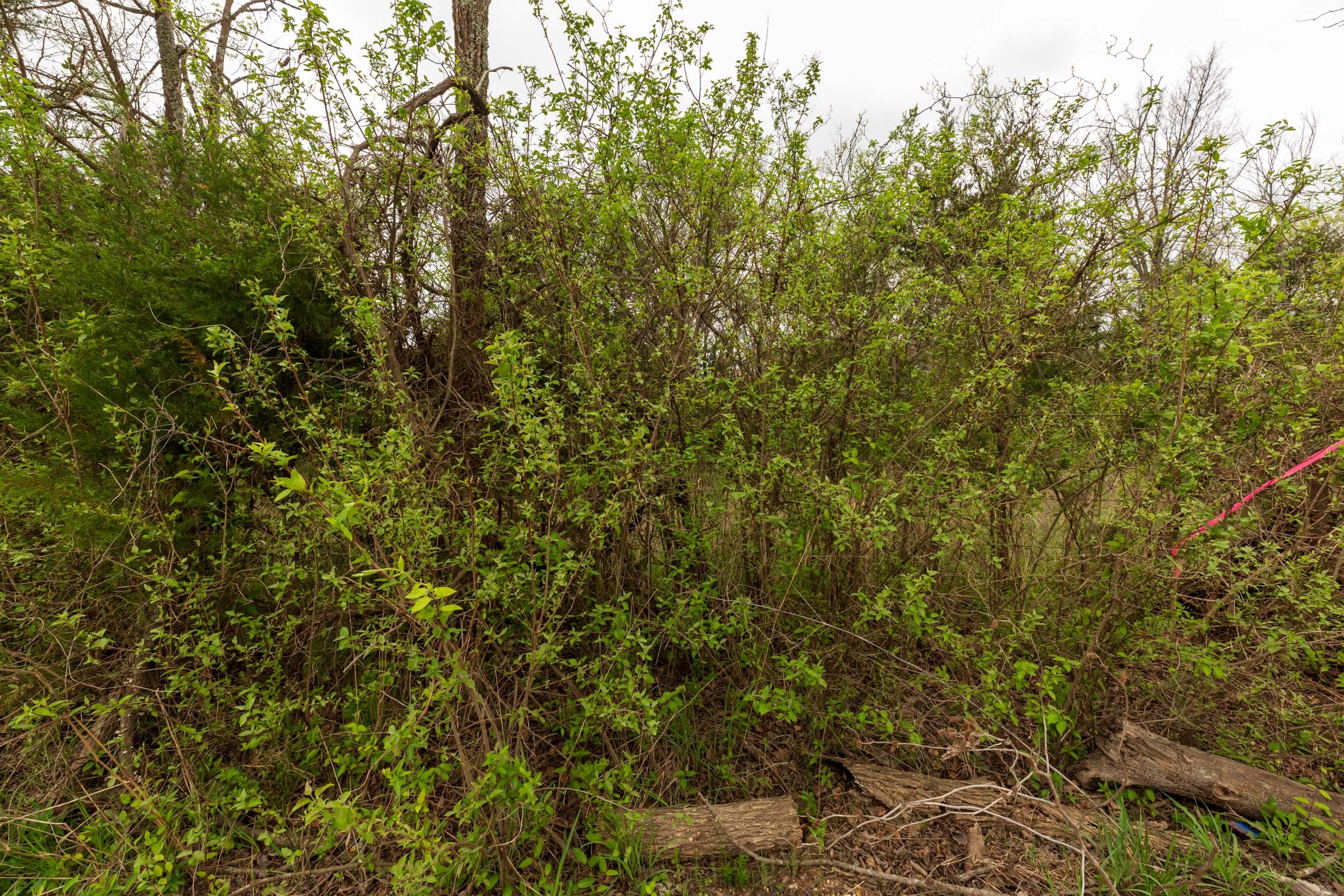 Moonrise Meadows Tract 26 photo 13