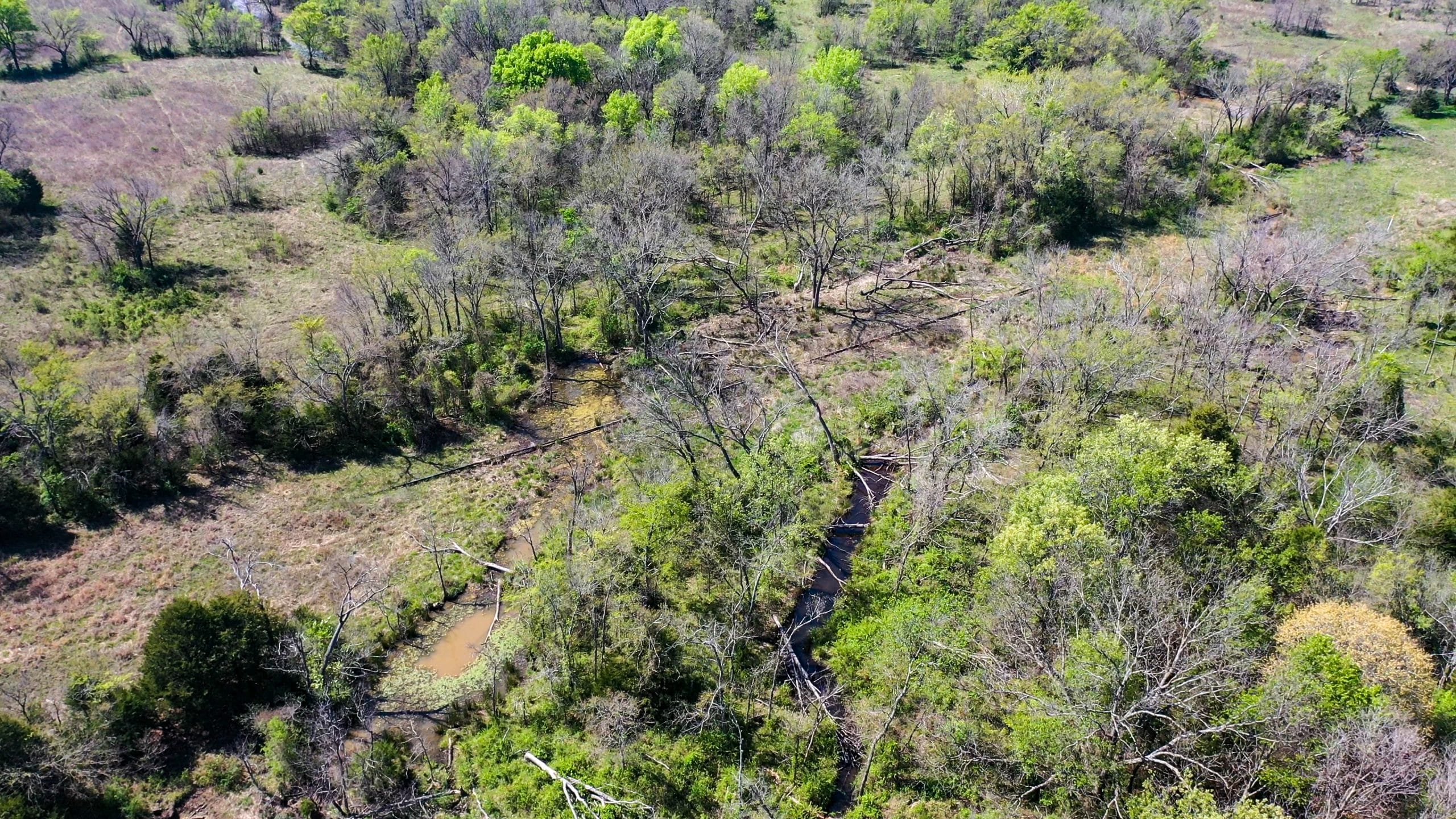 Moonrise Meadows Tract 9 photo 17
