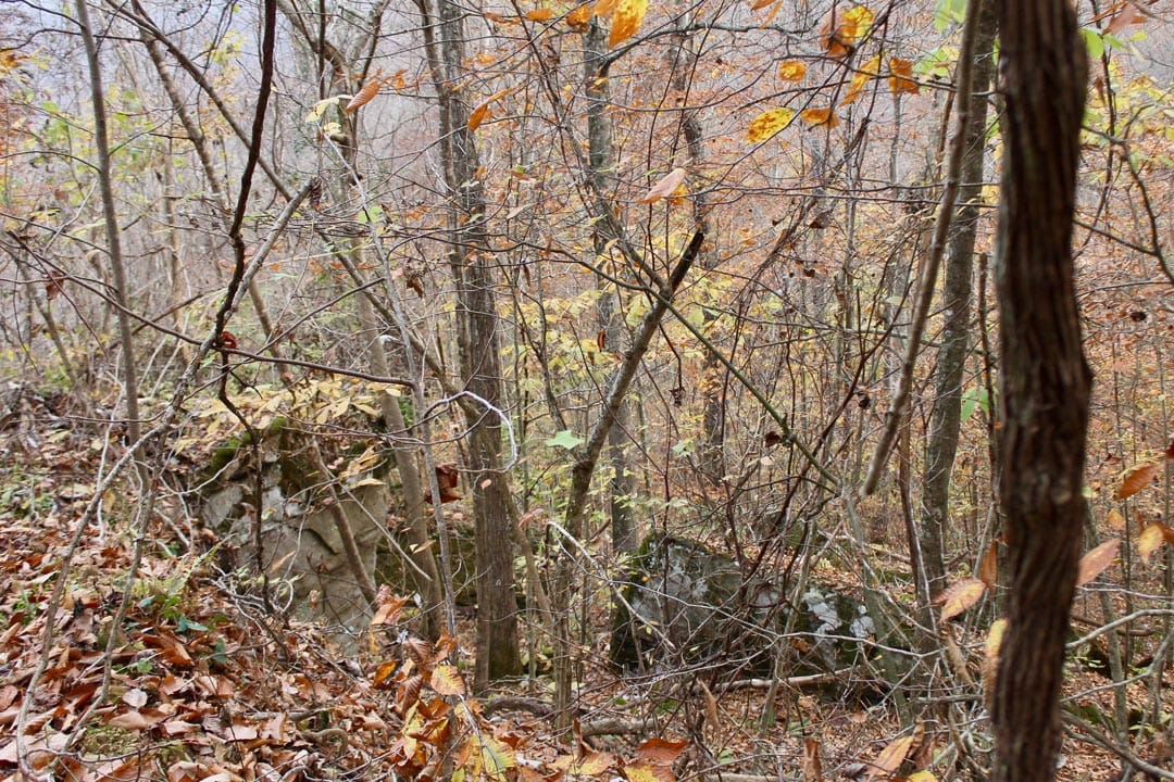 Autumn Ridge Tract 6 photo 2
