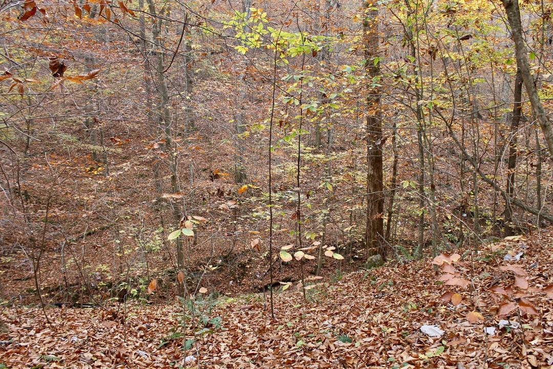 Autumn Ridge Tract 6 photo 10