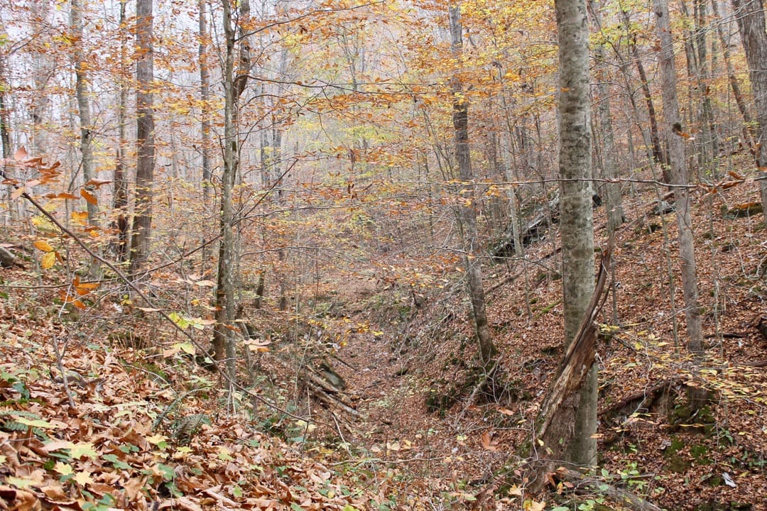 Autumn Ridge Tract 6 photo 12