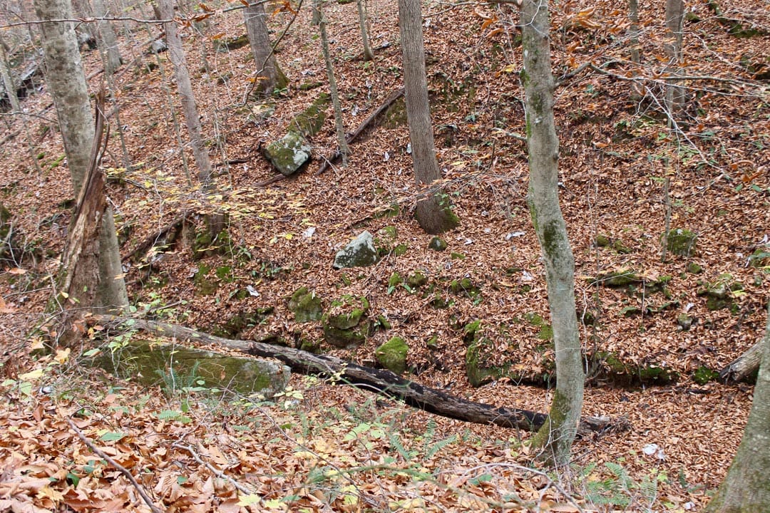 Autumn Ridge Tract 6 photo 13