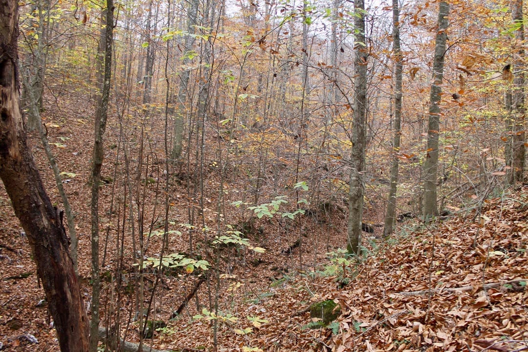 Autumn Ridge Tract 6 photo 14