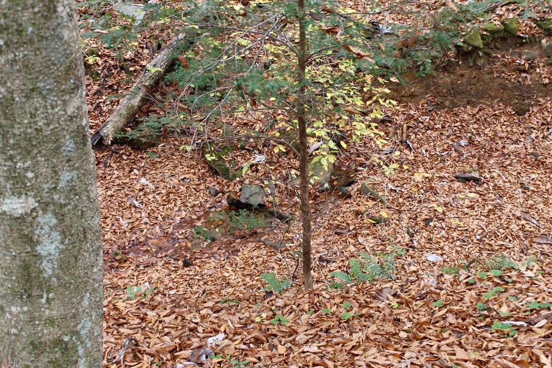 Autumn Ridge Tract 6 photo 15