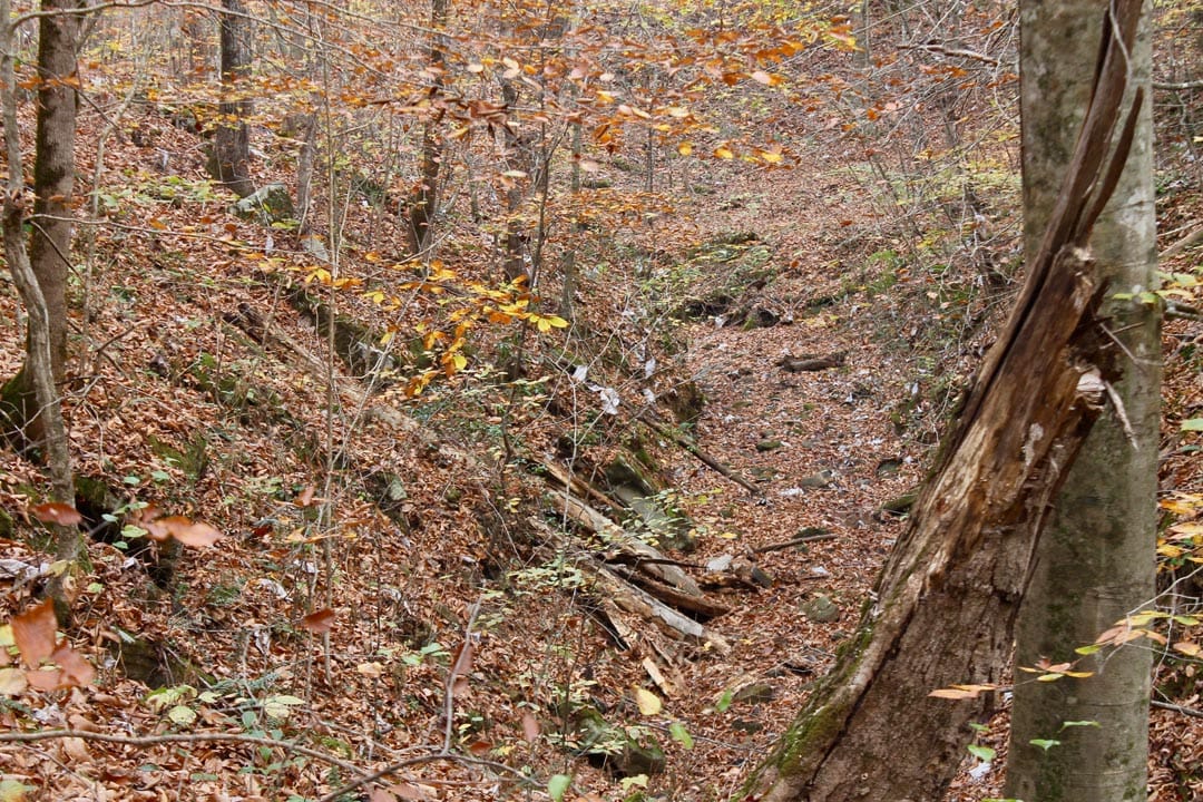 Autumn Ridge Tract 6 photo 16