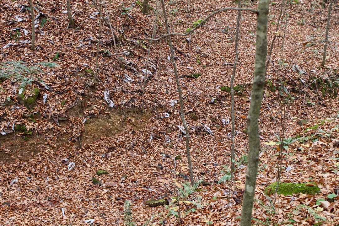 Autumn Ridge Tract 6 photo 17