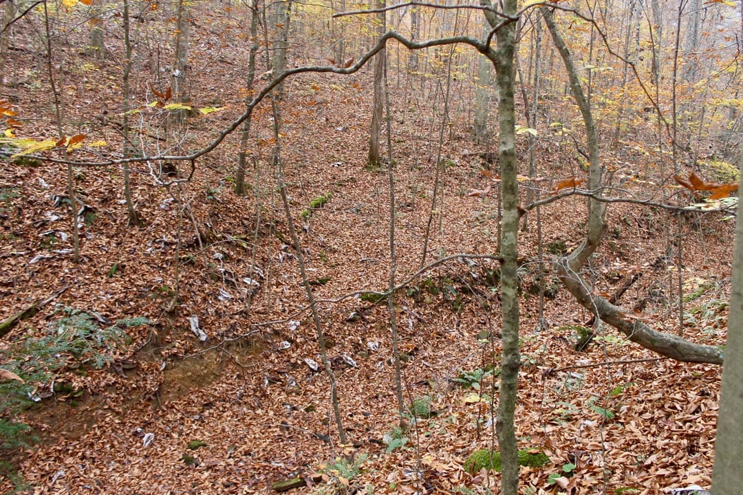 Autumn Ridge Tract 6 photo 18