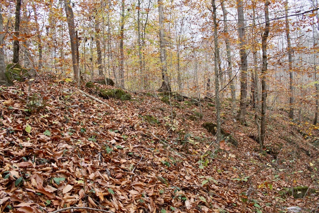 Autumn Ridge Tract 6 photo 19