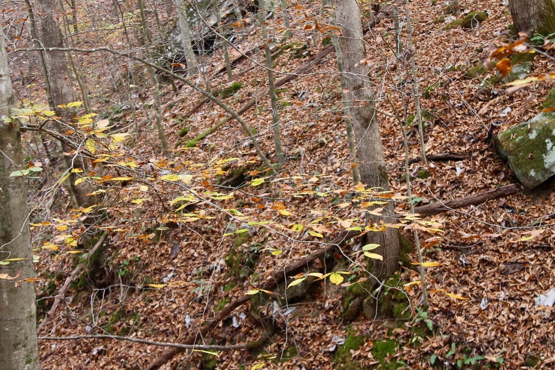 Autumn Ridge Tract 6 photo 20