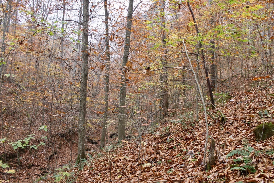 Autumn Ridge Tract 6 photo 21