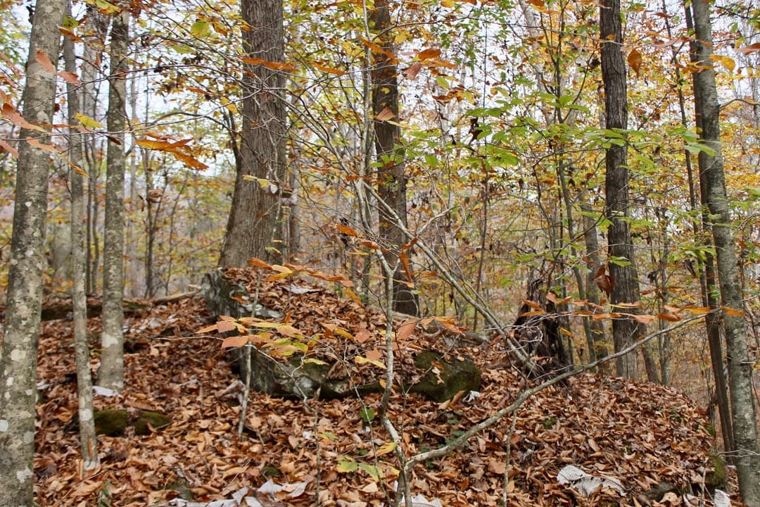 Autumn Ridge Tract 6 photo 23