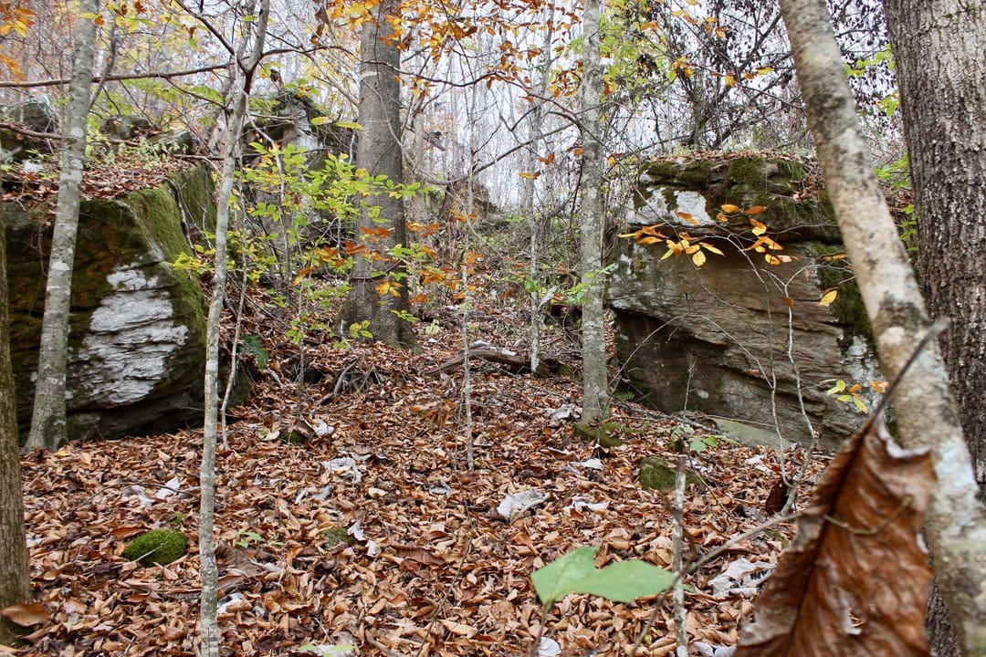 Autumn Ridge Tract 6 photo 29