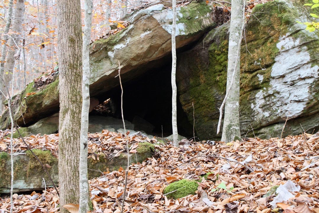 Autumn Ridge Tract 6 photo 30