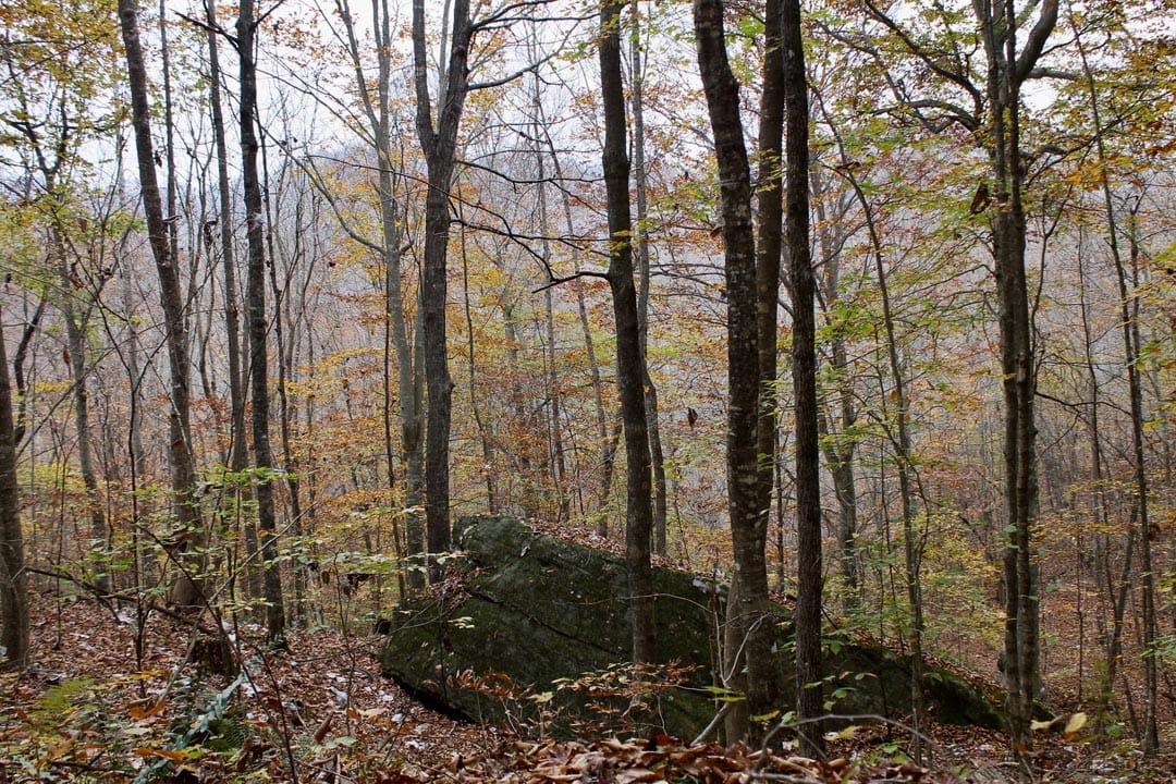 Autumn Ridge Tract 6 photo 32