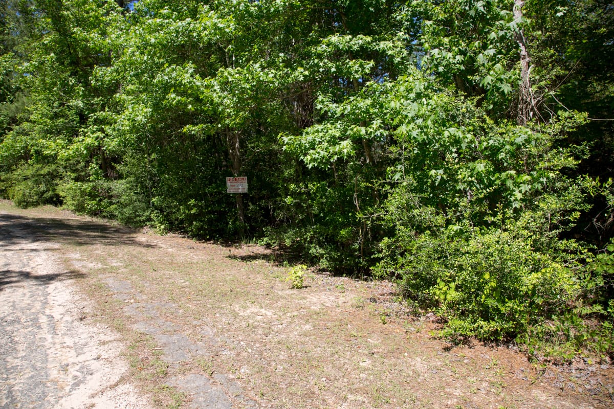 Rayburn Country Tract 271 photo 6