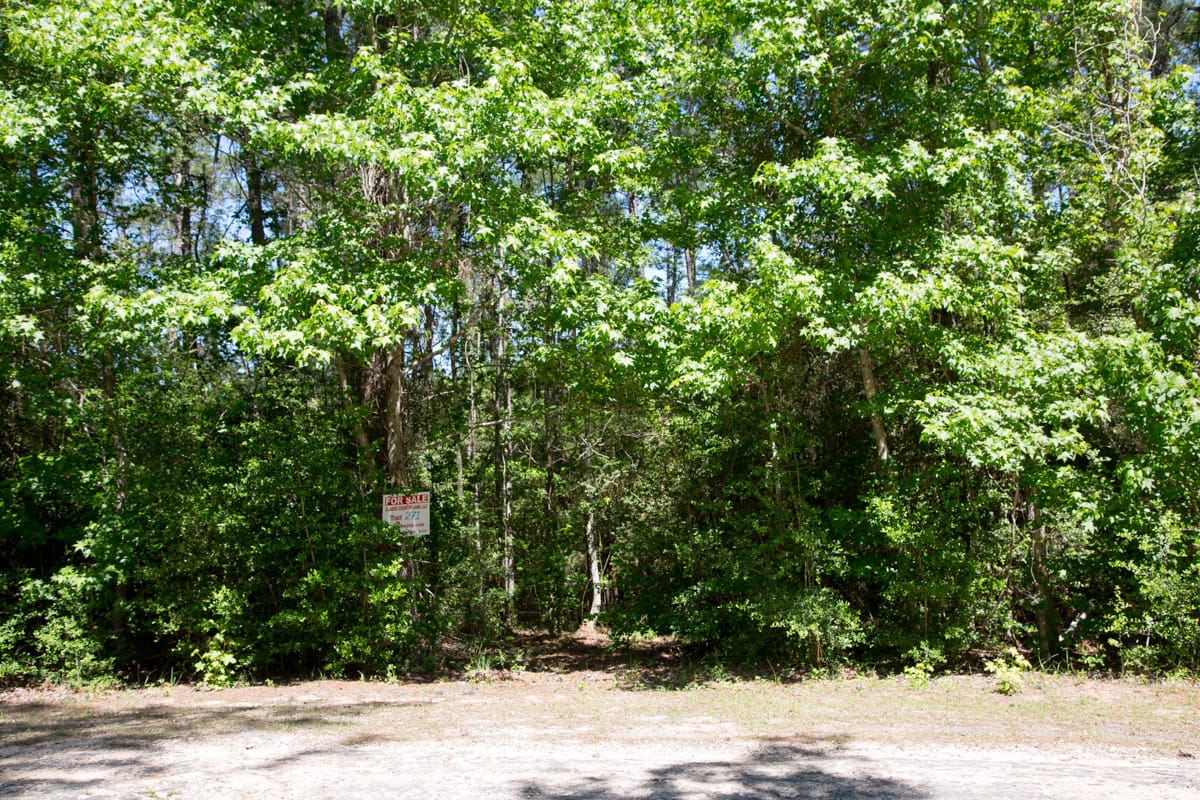 Rayburn Country Tract 271 photo 7