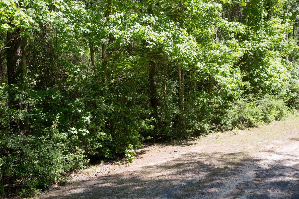 Rayburn Country Tract 271 photo 8