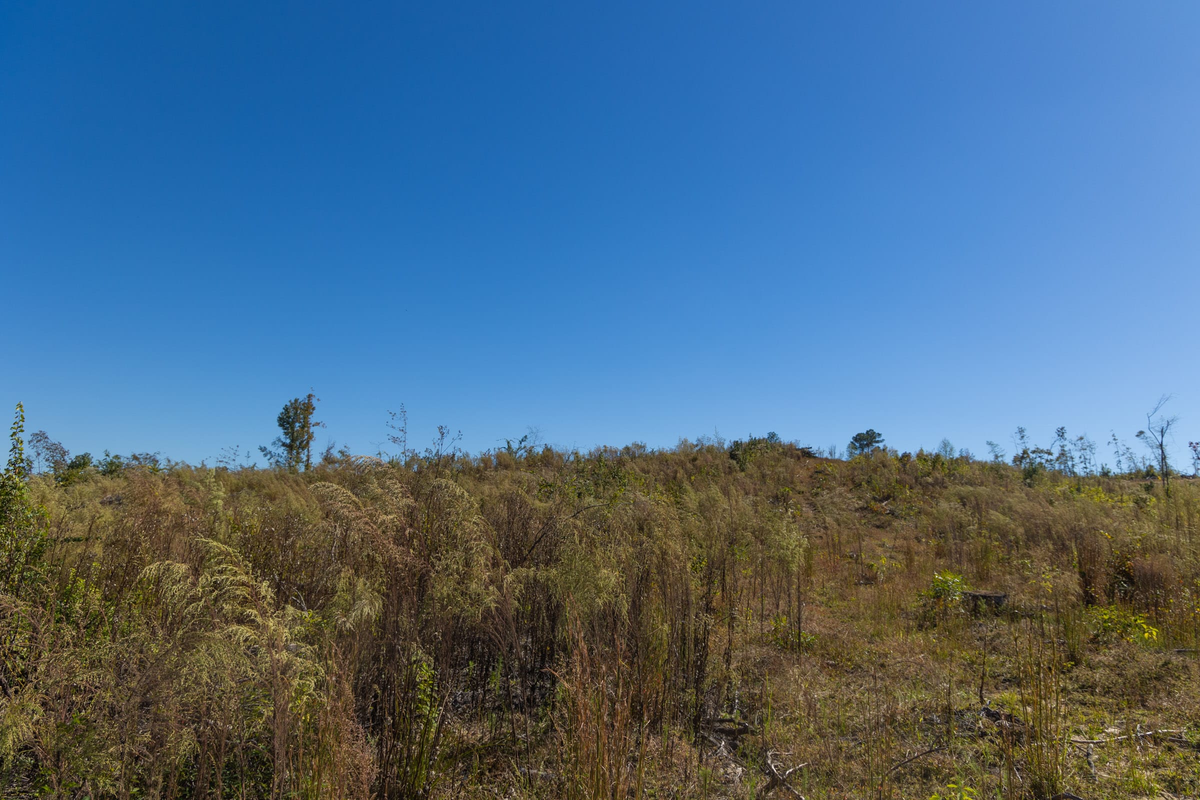 Meyer’s Ridge Tract 23 photo 14