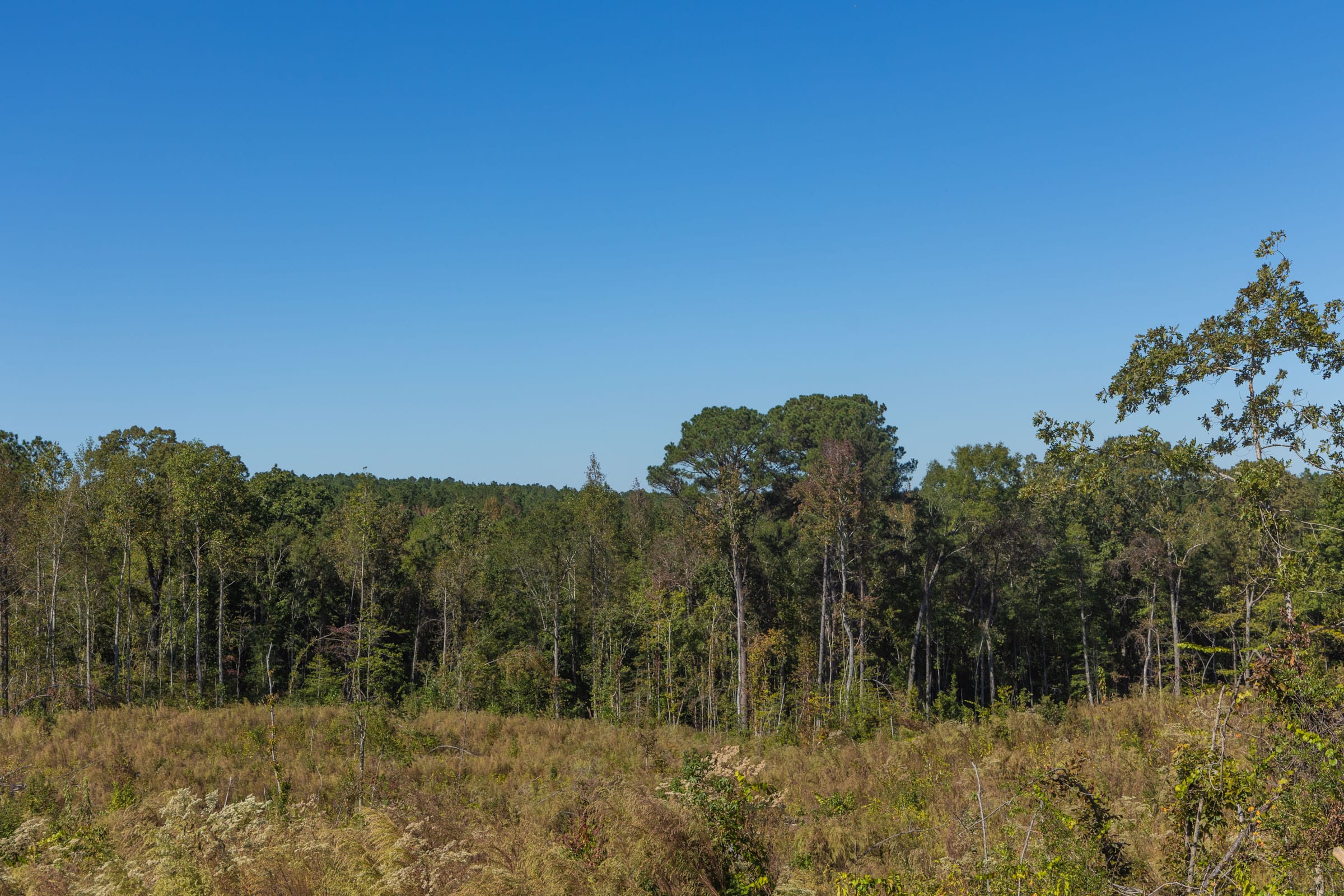 Meyer’s Ridge Tract 23 photo 8