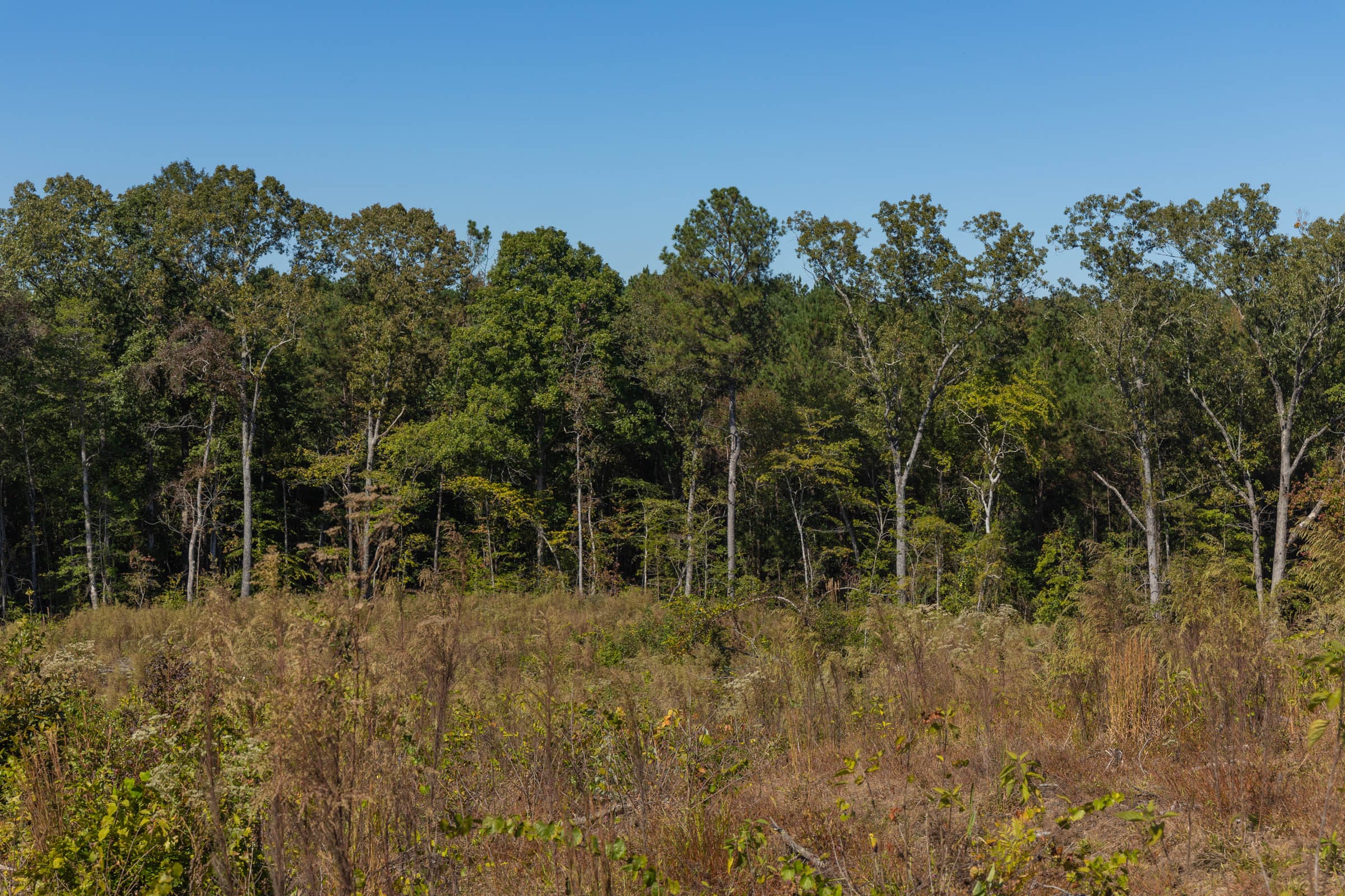 Meyer’s Ridge Tract 23 photo 5