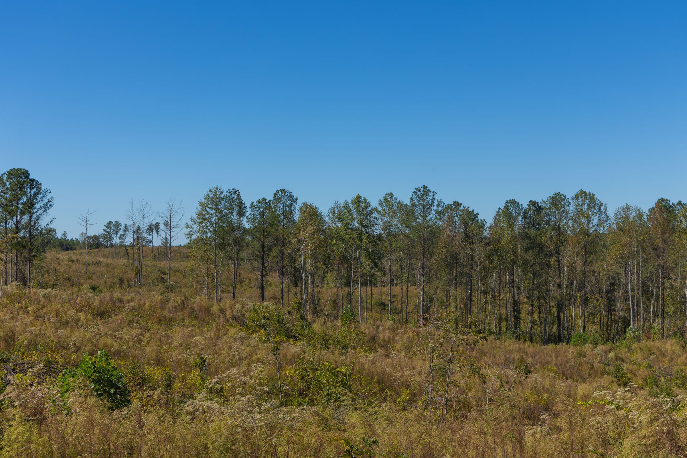 Meyer’s Ridge Tract 23 photo 10