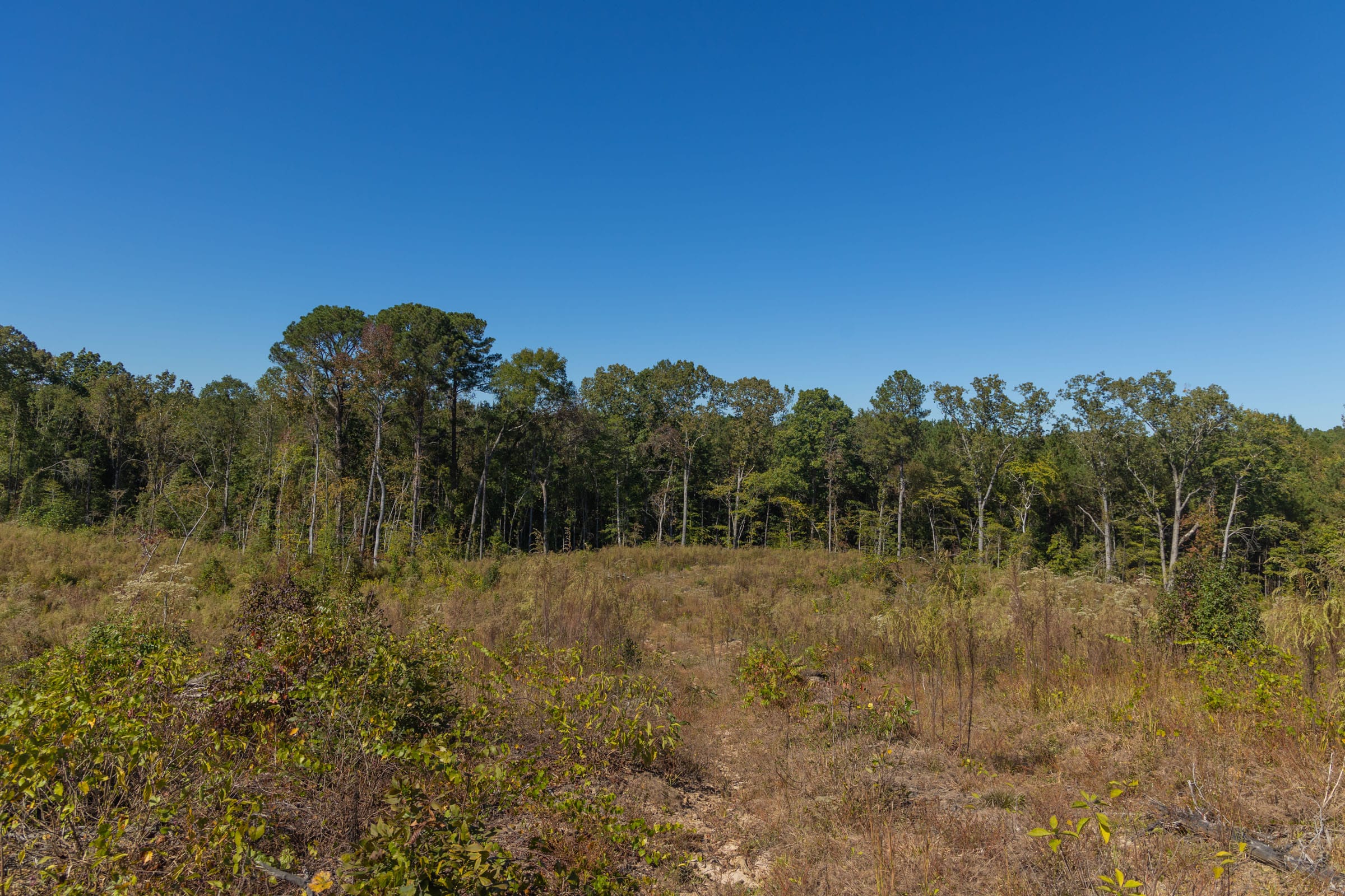 Meyer’s Ridge Tract 23 photo 9