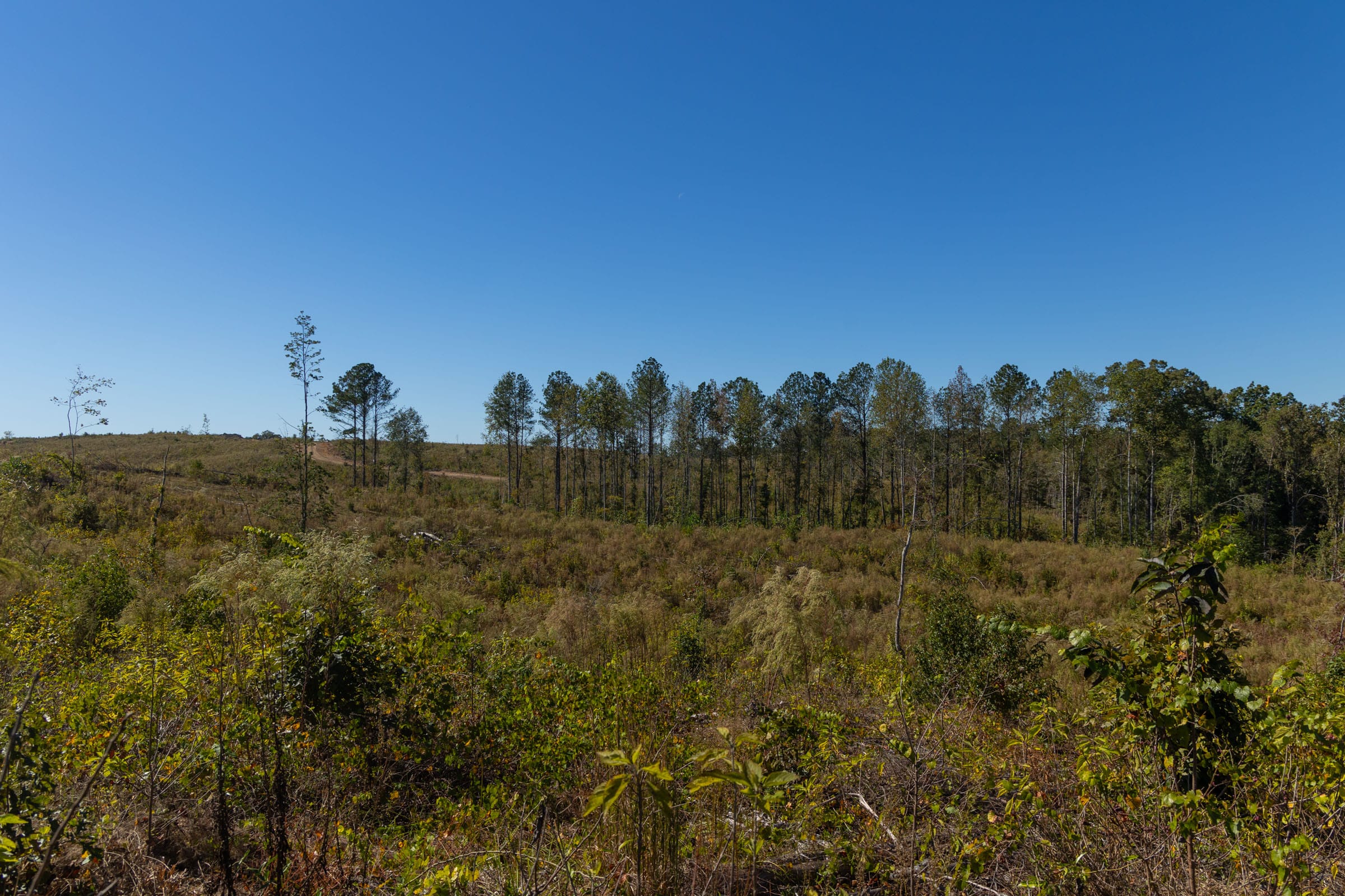 Meyer’s Ridge Tract 23 photo 15