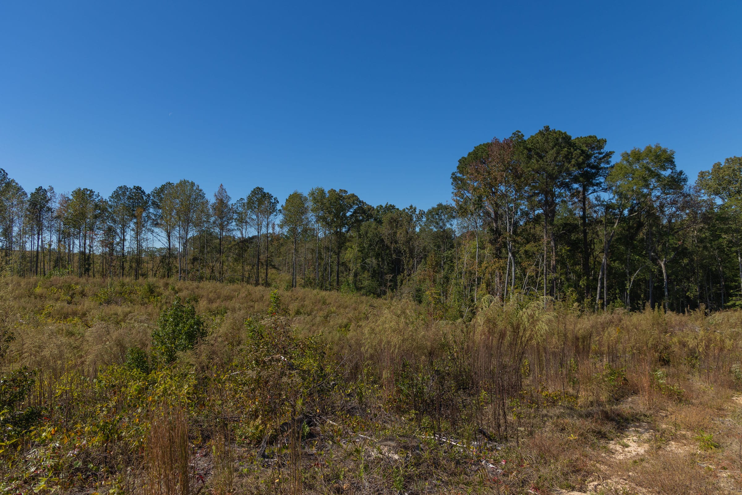 Meyer’s Ridge Tract 23 photo 6