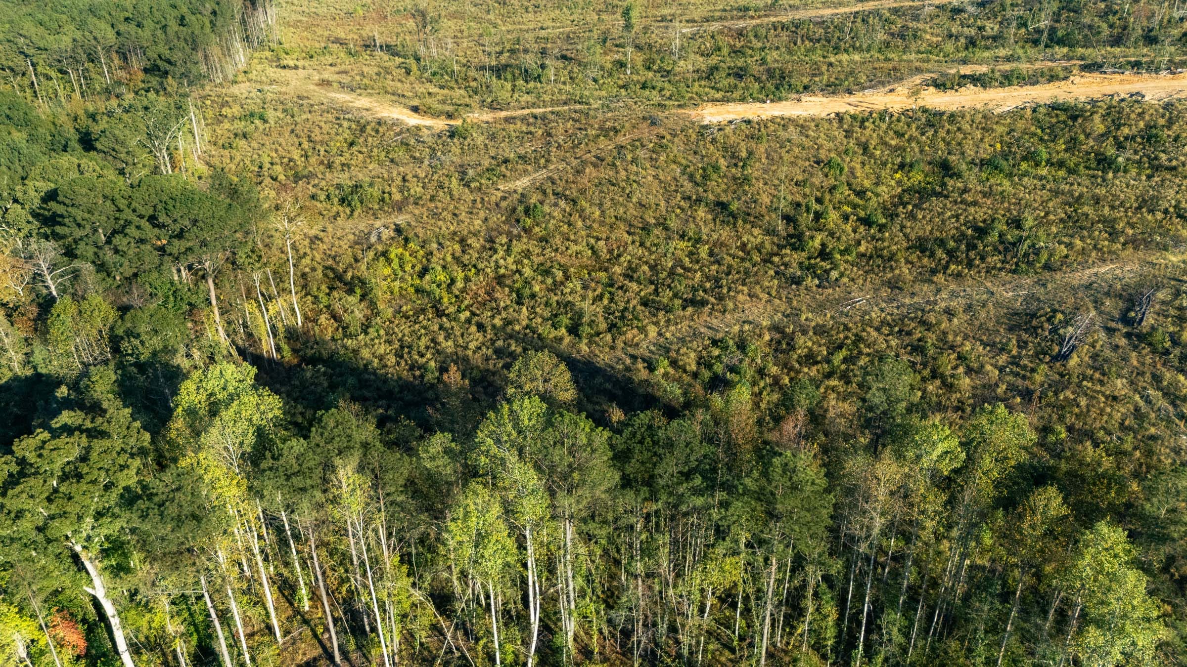 Meyer’s Ridge Tract 23 photo 4